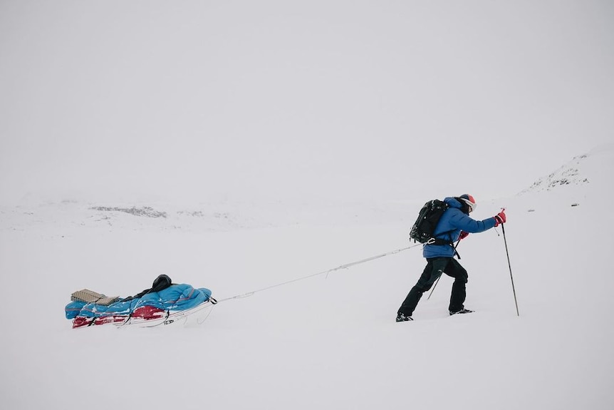 A man wearing a blue jacket skis through snow pulling a sled.