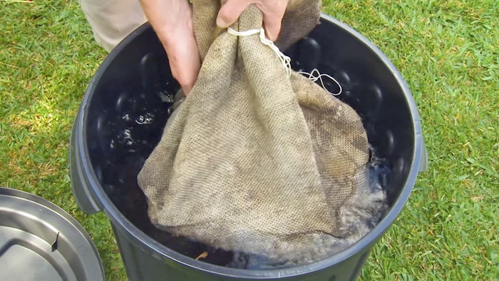 Tied hessian bag being dunked in a plastic tub of water