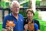 Les and Lyn holding up spanner crabs.