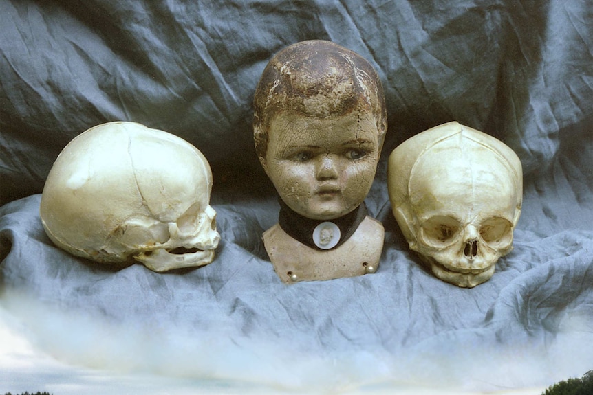 Centennial park with skulls and doll's head