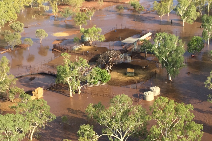 an aerial image of water around buildings and water tanks and trees