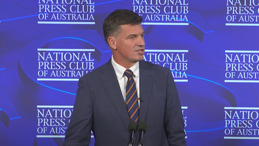 Angus Taylor speaks at a podium in front of a vivid blue branded background.