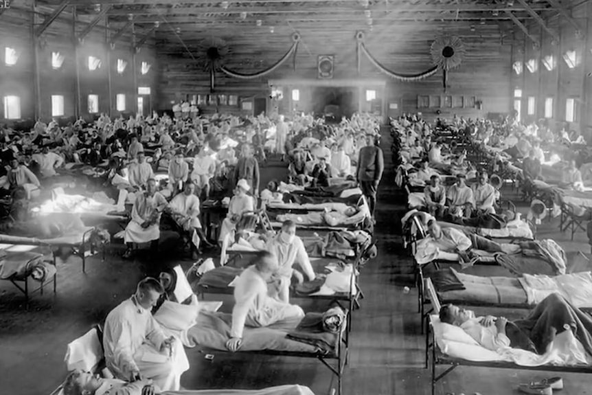 Can we learn anything from the Spanish flu epidemic of 1918?