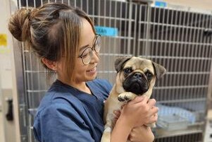 Ophelia smiles as she holds a pug and looks at it, while the pug looks at a camera in a room with animal cages.