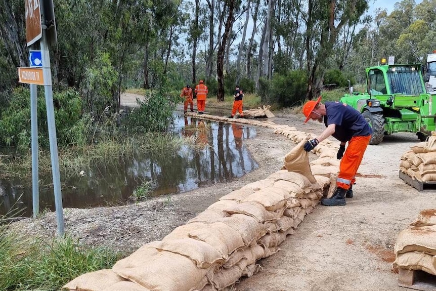 volunteers build a wall of sand bags. 