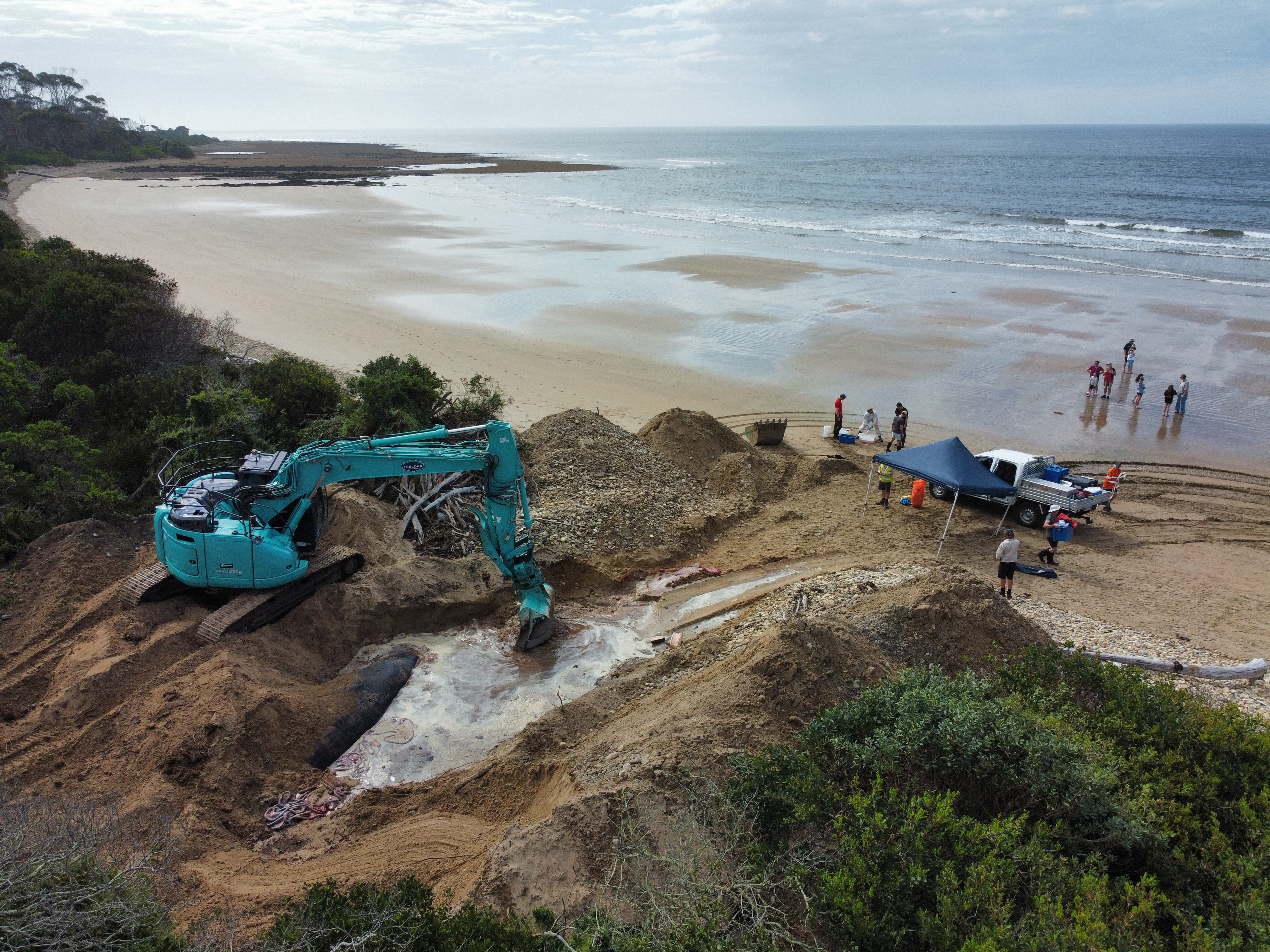an aerial shot showing a big hole on a beach with a whale in it and people around