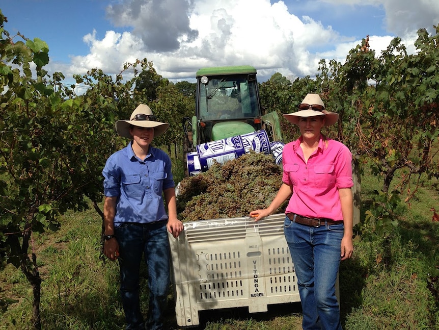 Two farmers in hats stand in front of a bin of freshly harvested wine grapes.