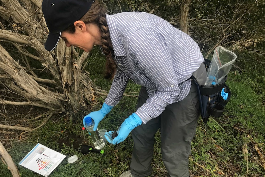 A woman holds scientific equipment next to a tree