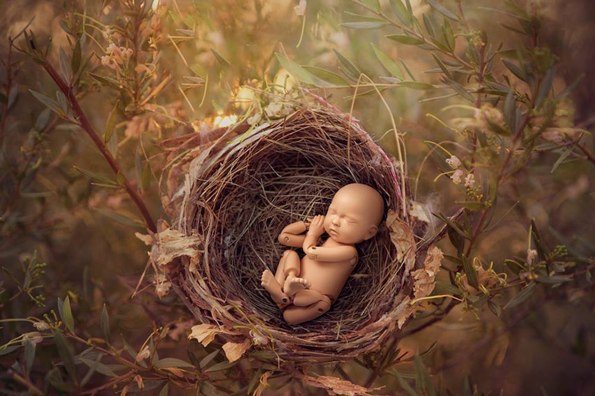 A mannequin baby posed in a birds nest with green and white foliage in the background.