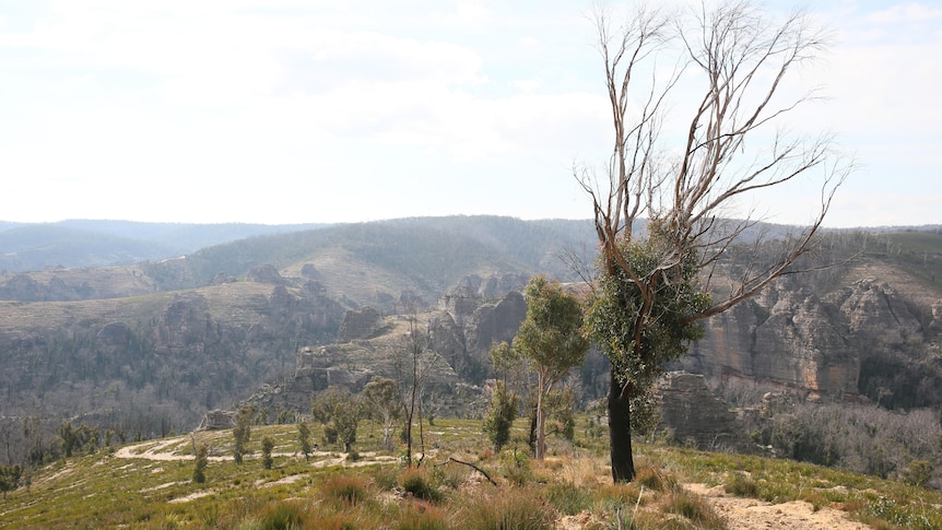 Overlooking the 'Lost City' lookout near Lithgow