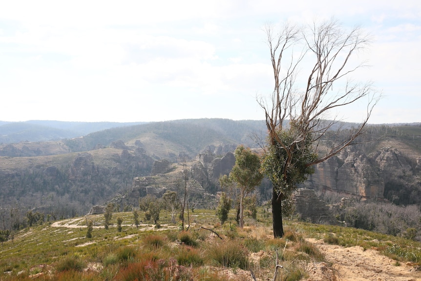 Overlooking the 'Lost City' lookout near Lithgow