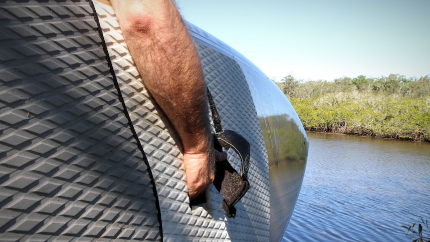 An arm holds a stand up paddle board next to a waterway, with mangroves behind.