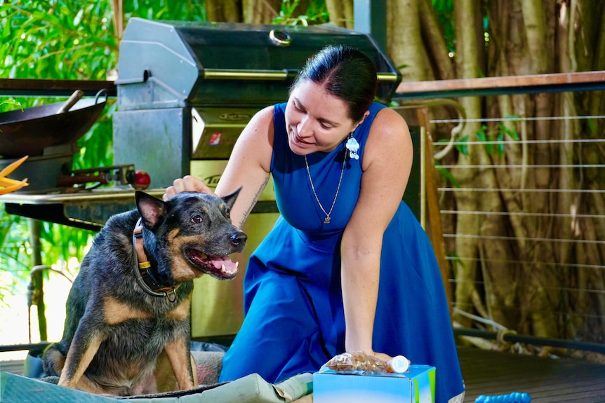 A woman in a blue dress smiles while she pats a happy blue heeler dog.