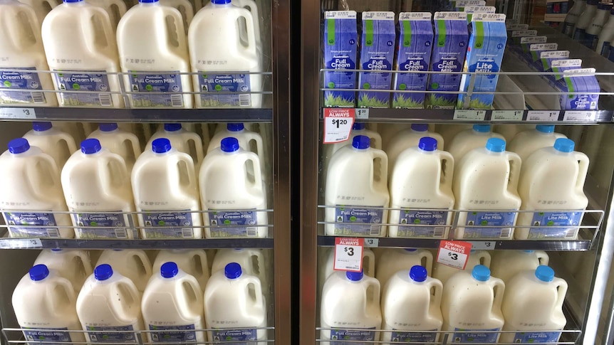 Woolworths homebrand milk in a store fridge