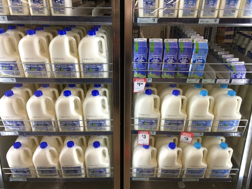 Woolworths homebrand milk in a store fridge