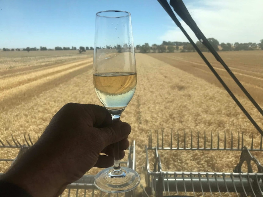 A man holding a champagne glass in the foreground with a wheat crop in the background.