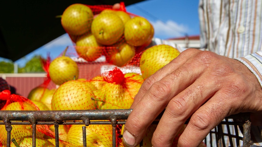 A hand sits on a rusted shelf of a fruit stall while bags of fruit can be seen in the background