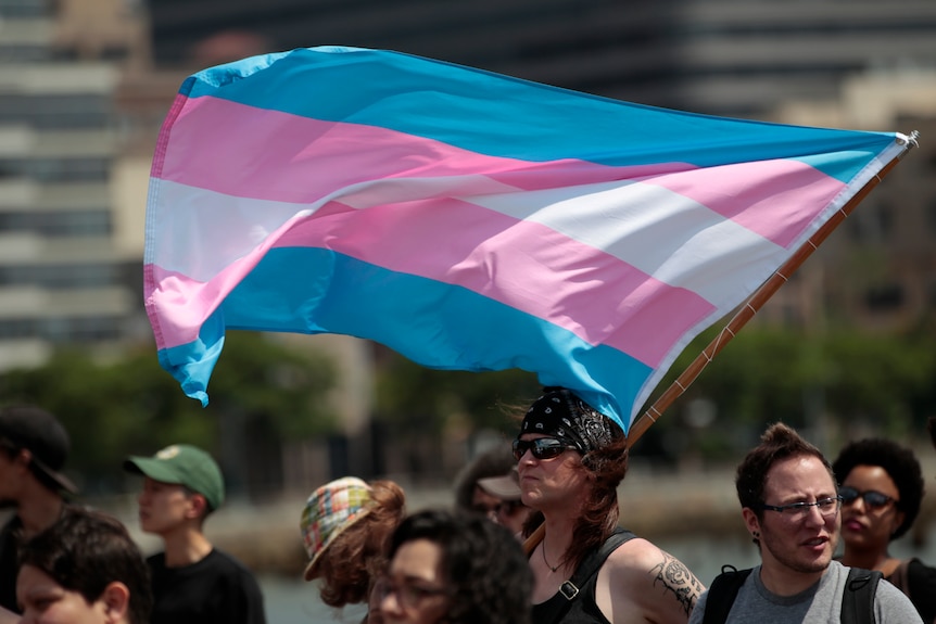 A group of people hold a trans pride flag above them as they walk through a city