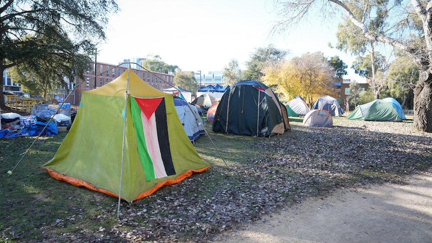Tents set up with buildings in the background on the ANU campus.