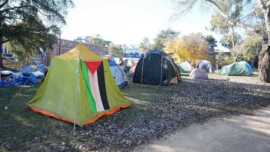 Tents set up with buildings in the background on the ANU campus.