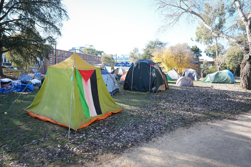 Tents set up with buildings in the background on the ANU campus.