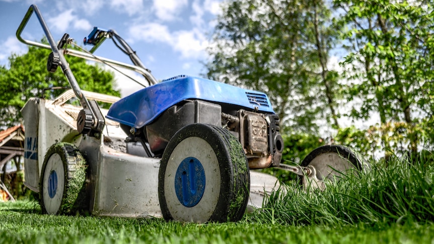 A close up of a lawnmower as it cuts grass.
