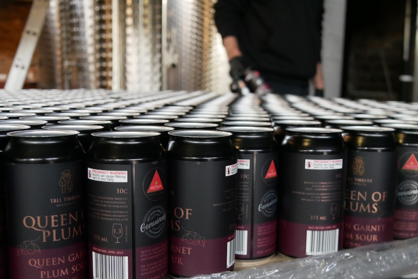 Fruit Waste beer: Cans