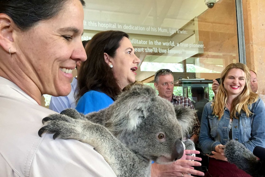 Annastacia Palaszczuk talks next to a wildlife worker holding a koala