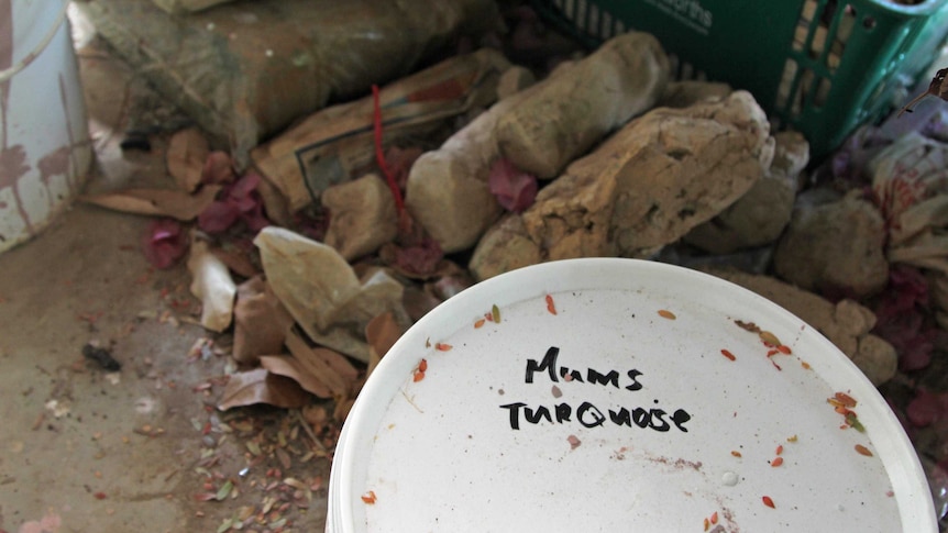 A bucket labelled 'Mum's turquoise' sits among clutter on a dusty workshop floor.
