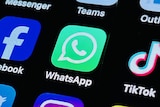 A phone screen displaying the WhatsApp app