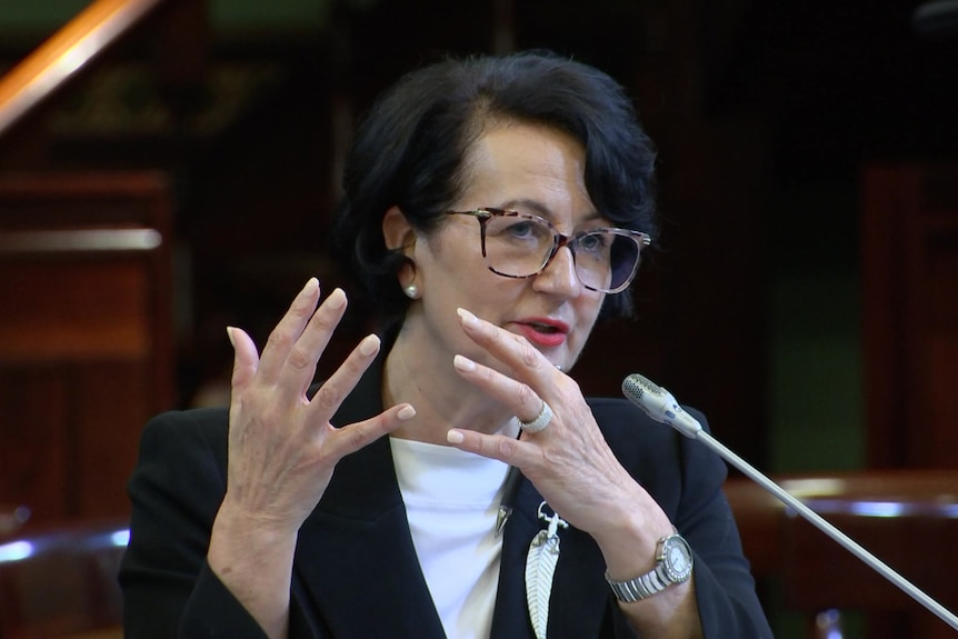 SA Deputy Premier Vickie Chapman appears before a parliamentary committee.