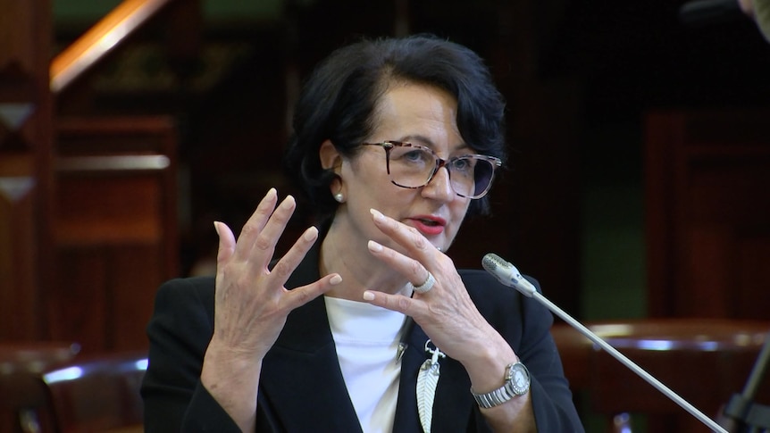 SA Deputy Premier Vickie Chapman at a parliamentary committee.