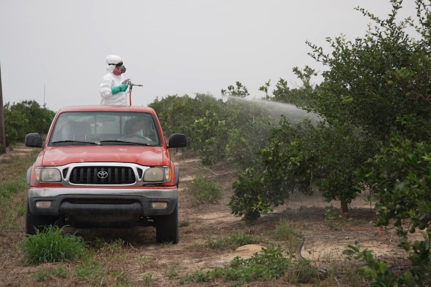 Photo of Florida University conducting field trials