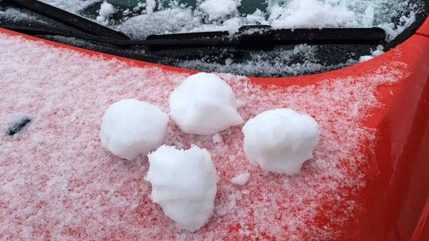 Residents prepare for snowball fights in Nicholls in Canberra's north.