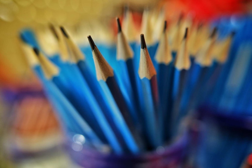 Close-up of pot of sharpened blue pencils.