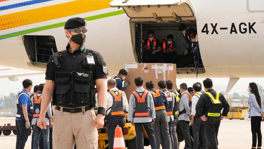 Primo piano di un funzionario mascherato con le autorità che svuotano una scatola di vaccini da un aereo sullo sfondo. 