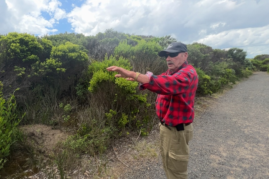 Man in flannel shirt next to bushes. 