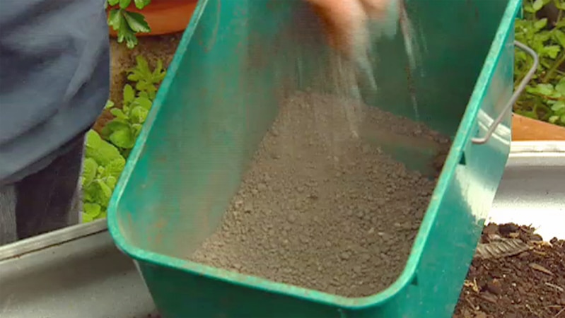 square tub filled with dusty earth
