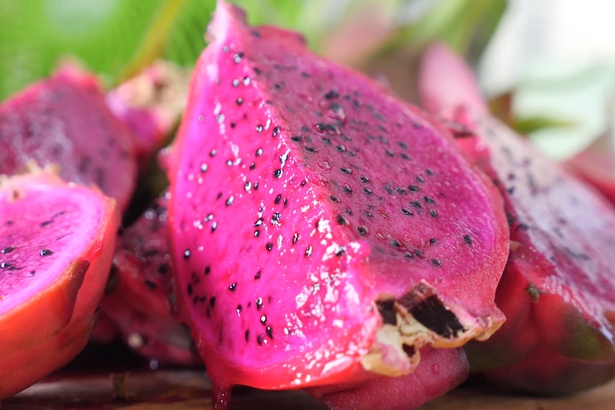 Close up of dragon fruit cut open, bright purple with black seeds.