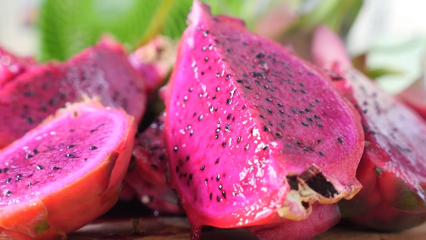 Close up of dragon fruit cut open, bright purple with black seeds.