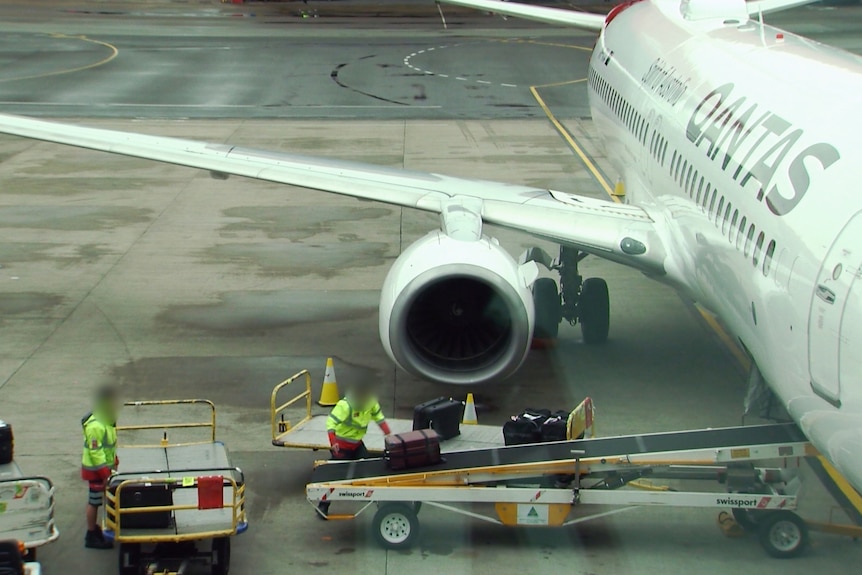 Baggage handlers loading luggage onto a conveyor belt beside a Qantas plane.
