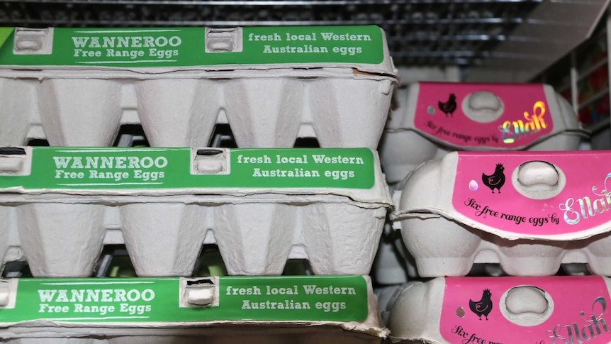 A close-up of cartons of free-range eggs on a supermarket shelf.