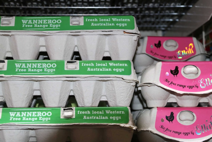 A close-up of cartons of free-range eggs on a supermarket shelf.