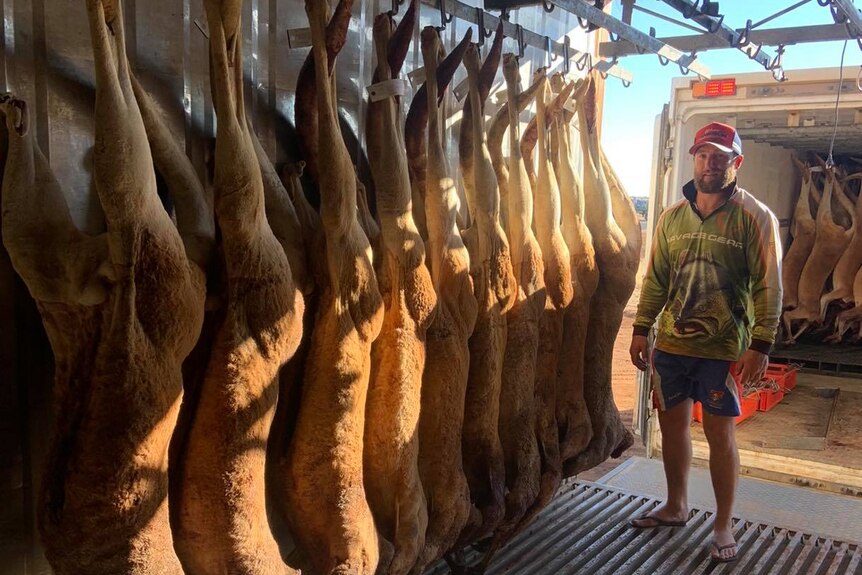 A man stands at the end of an open cold room with kangaroo carcasses hanging to the left