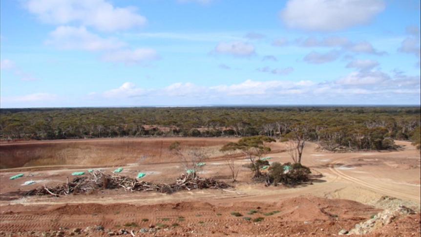 A Goldfields gold mine