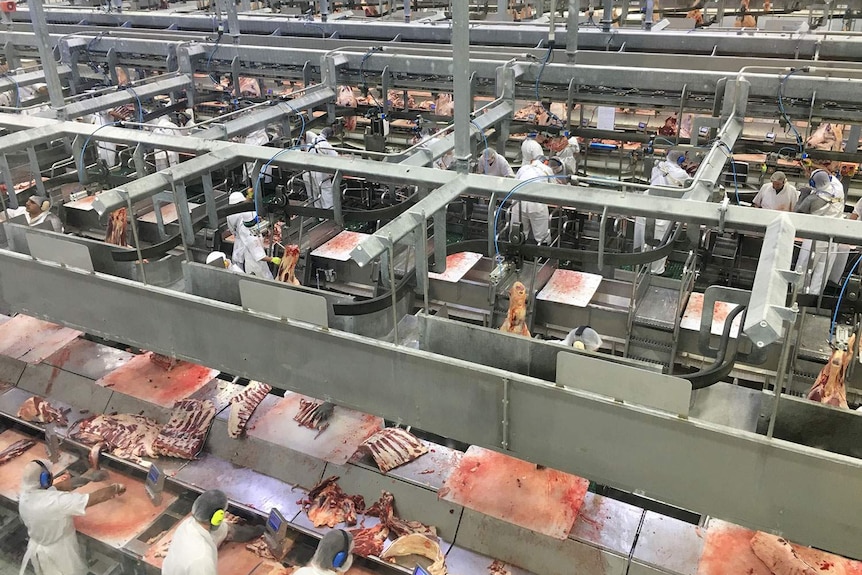 Oakey Meatworks on Queensland's Darling Downs