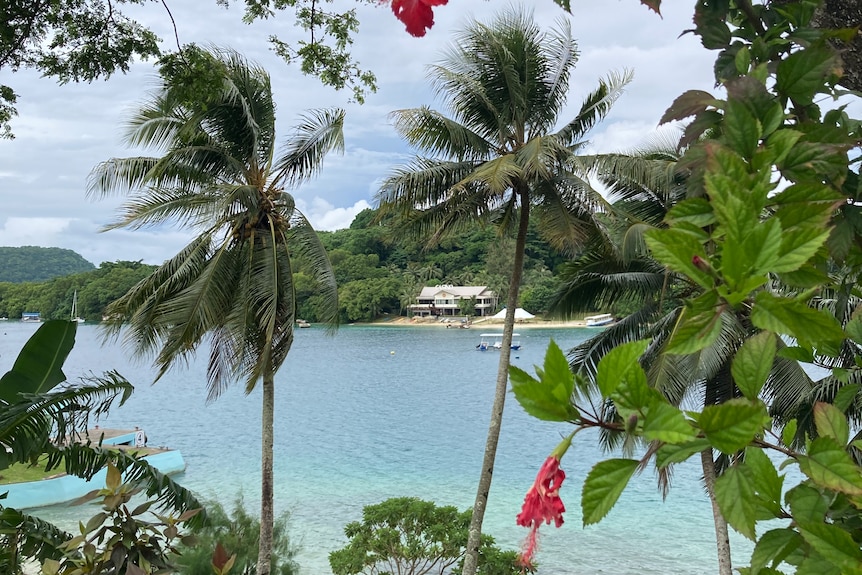 A view of Jewel casino across Vila Bay at Iririki Resort, with hibiscus flowers in the foreground.