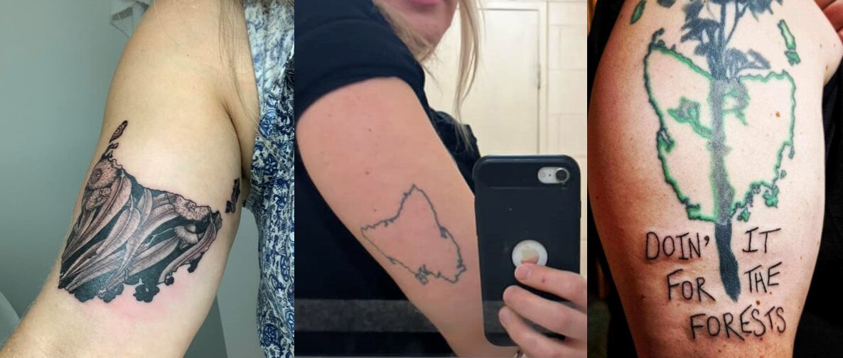 Three tattoos of the map of Tasmania on arms.