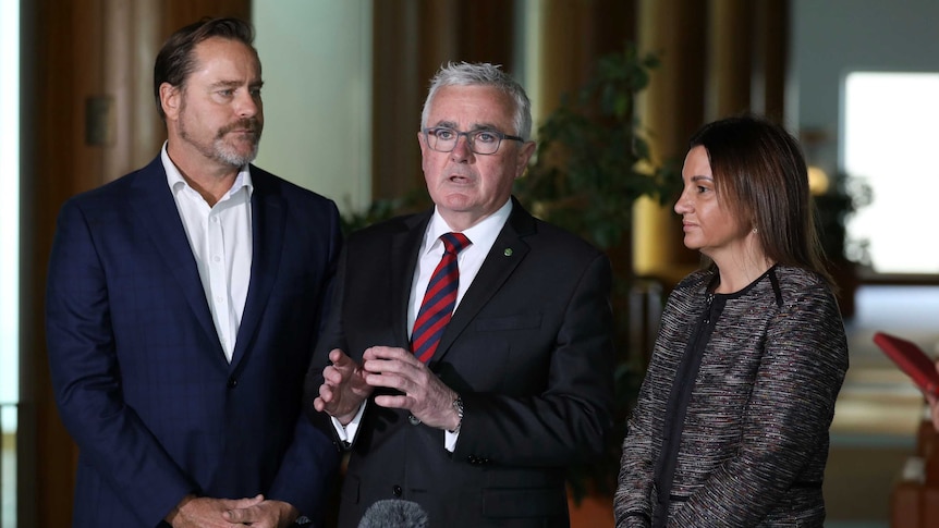 Andrew Wilkie, Peter Whish-Wilson and Jacqui Lambie addressing the media inside Parliament House