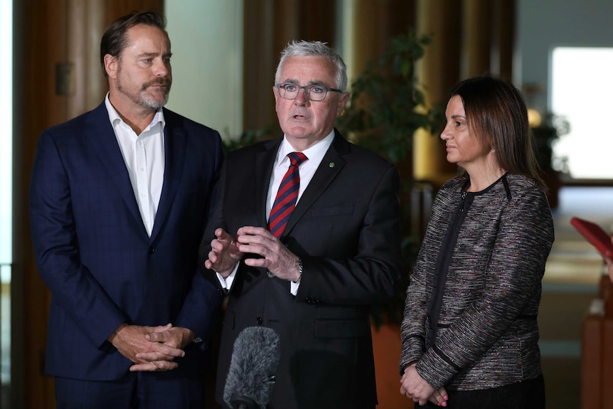 Andrew Wilkie, Peter Whish-Wilson and Jacqui Lambie addressing the media inside Parliament House